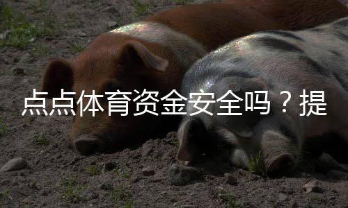 点点体育资金安全吗？提现流程、风控措施与用户口碑全面评测