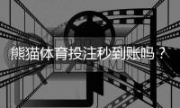熊猫体育投注秒到账吗？充值提现到账时间、延迟原因与解决办法全解析