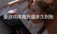 爱游戏体育充值多久到账？到账时间、延迟原因与解决办法