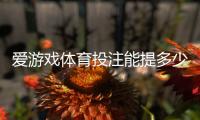 爱游戏体育投注能提多少钱?提现额度、到账时间与手续费全解析