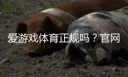 爱游戏体育正规吗？官网资质、用户口碑与安全性全面揭秘