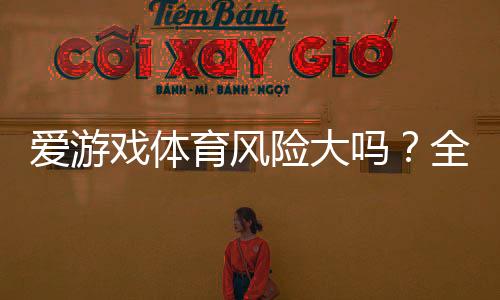 爱游戏体育风险大吗？全面风险评估与新手避险攻略