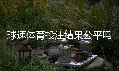球速体育投注结果公平吗？深度解析平台公正性与玩家实测反馈