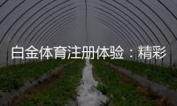 白金体育注册体验：精彩棋牌娱乐风采