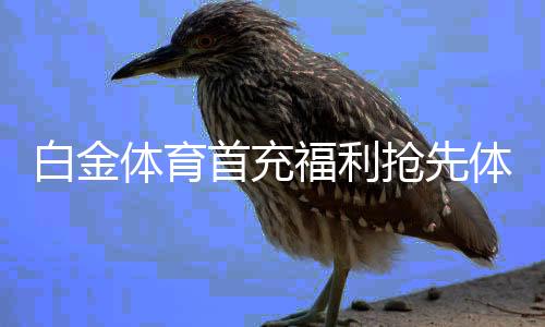 白金体育首充福利抢先体验高品质棋牌游戏
