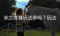 米兰体育玩法多吗？玩法种类、投注规则与新手实战攻略