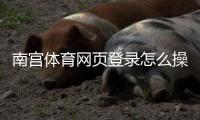 南宫体育网页登录怎么操作？新手注册登录步骤与常见问题解答
