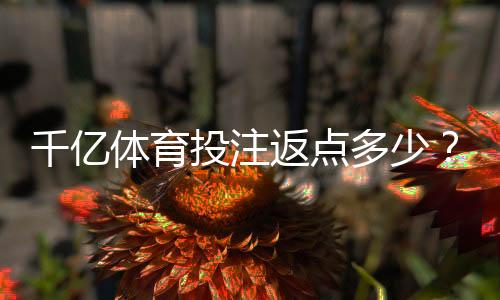 千亿体育投注返点多少？享受丰厚回报！