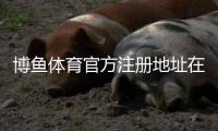 博鱼体育官方注册地址在哪？最新官网入口与快速注册教程