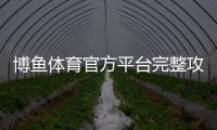 博鱼体育官方平台完整攻略:新手注册、充值提现与安全玩法详解