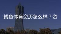 博鱼体育资历怎么样?资质背景、合法性与用户口碑全面评测
