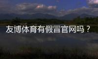 友博体育有假冒官网吗？快速识别真伪与防骗攻略