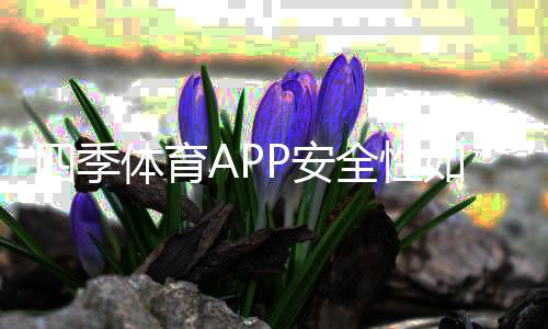 四季体育APP安全性如何?账户、支付与隐私全方位评测