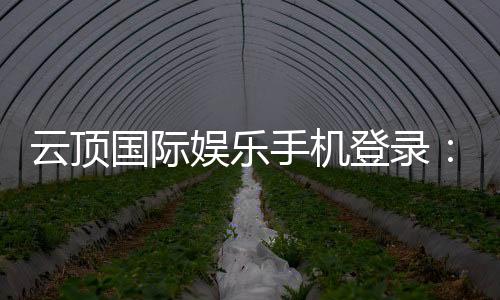 云顶国际娱乐手机登录：畅享移动端棋牌电游的极致体验