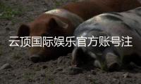 云顶国际娱乐官方账号注册：轻松三步完成畅享顶级游戏体验