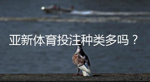 亚新体育投注种类多吗?一文看懂各类玩法与新手投注攻略