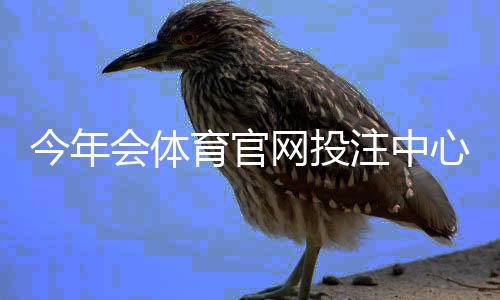 今年会体育官网投注中心新手入门：注册、充值、投注玩法与安全攻略
