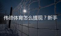伟德体育怎么提现？新手提现流程、到账时间与手续费全解析