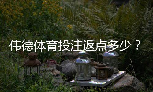 伟德体育投注返点多少？最新返点比例、返水计算与领取攻略