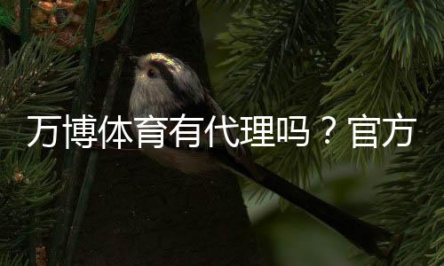 万博体育有代理吗？官方代理查询、真假识别与申请流程详解