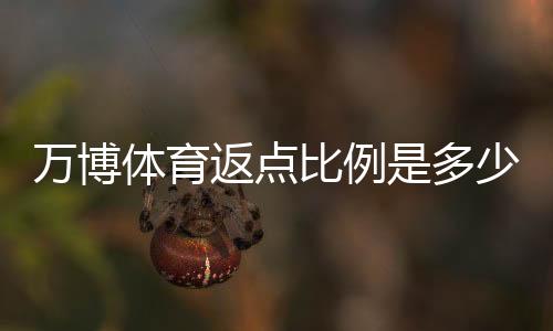 万博体育返点比例是多少?最新返点规则、计算方法与实战攻略
