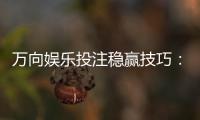 万向娱乐投注稳赢技巧：资深玩家揭秘三大长效盈利策略