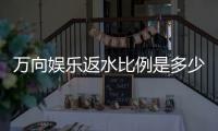 万向娱乐返水比例是多少？揭秘高返水福利与实战技巧
