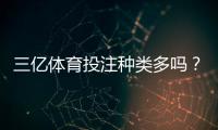 三亿体育投注种类多吗？全方位解析各类玩法与新手投注攻略
