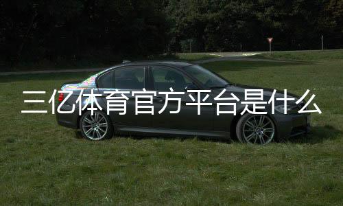 三亿体育官方平台是什么？官网入口、注册安全与常见玩法全面解析