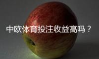 中欧体育投注收益高吗？真实收益数据、风险分析与评估方法