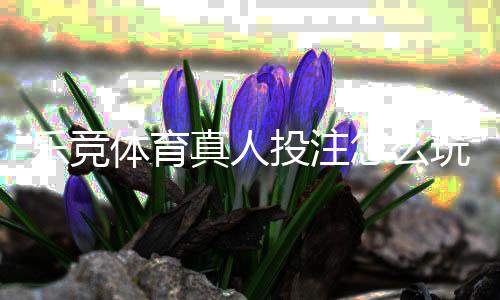 乐竞体育真人投注怎么玩？新手入门、玩法规则与安全注意事项