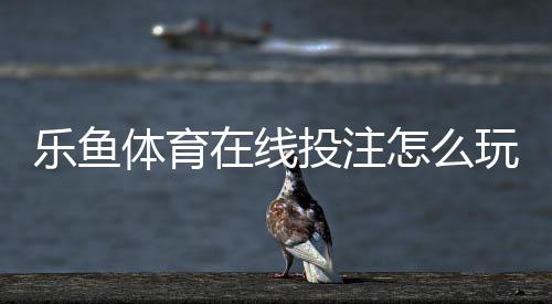 乐鱼体育在线投注怎么玩?新手入门、玩法规则与风险防范全攻略