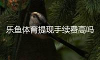 乐鱼体育提现手续费高吗?一文看懂收费标准、原因与省钱技巧