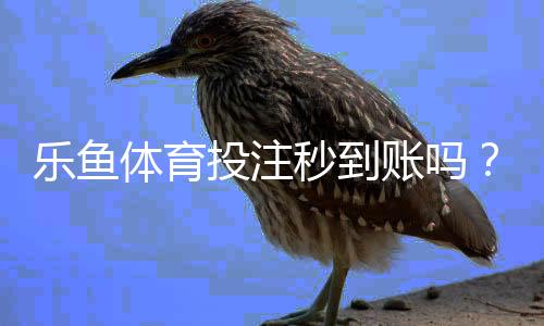 乐鱼体育投注秒到账吗?提现到账速度与常见问题解析