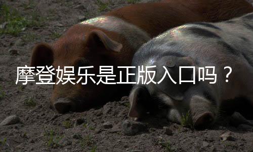 摩登娱乐是正版入口吗？揭秘平台资质与安全玩法指南