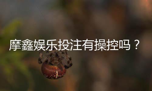 摩鑫娱乐投注有操控吗？深度解析平台公正性与防作弊机制