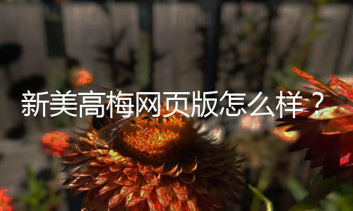 新美高梅网页版怎么样?资深玩家带你揭秘真实体验