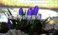 新美高梅会泄露信息吗?深度解析平台安全性与隐私保护措施
