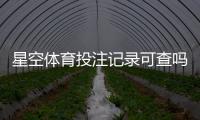 星空体育投注记录可查吗？查询方法与常见问题一次看懂