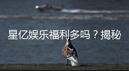 星亿娱乐福利多吗？揭秘其独家优惠与玩家真实反馈