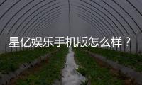 星亿娱乐手机版怎么样?资深玩家带你揭秘真实体验与赢钱技巧