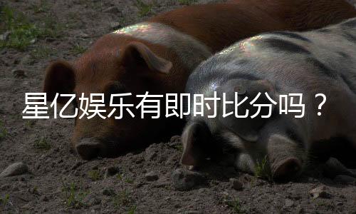 星亿娱乐有即时比分吗?全面解析比分查询与赛事动态