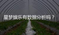 星梦娱乐有数据分析吗?深度解析其数据监测与玩家体验优化