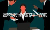 星欧娱乐会跑路吗？深度解析平台安全性与玩家应对策略