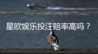星欧娱乐投注赔率高吗？资深玩家揭秘真实回报率与技巧