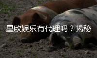 星欧娱乐有代理吗？揭秘代理加盟条件与流程