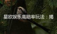 星欧娱乐高赔率玩法：揭秘稳赢技巧与高回报策略