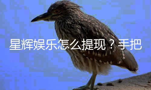 星辉娱乐怎么提现?手把手教你快速到账技巧