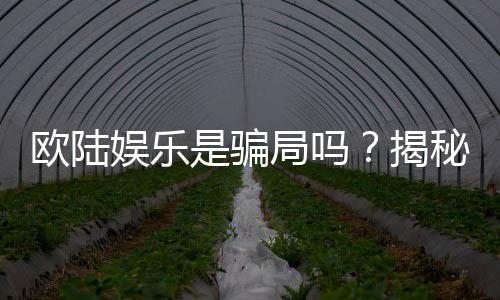 欧陆娱乐是骗局吗？揭秘其真实性与玩家体验