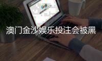 澳门金沙娱乐投注会被黑吗？深度解析平台安全性与防黑技巧